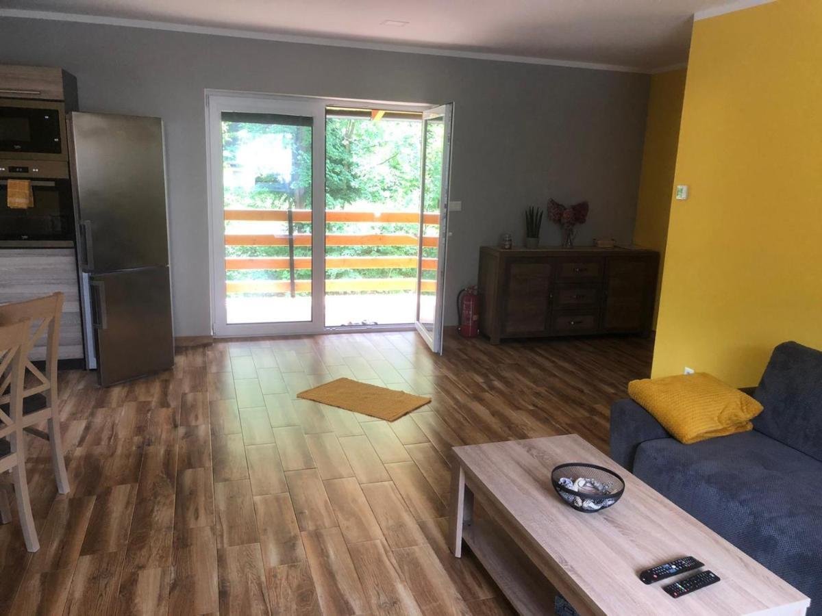 Apartman Lomnanka Dolni Lomna Exterior photo